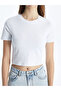 Crew Neck Women's Crop - 3