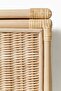 Low rattan cabinet