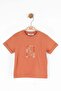 Baby Boy Giraffe Tshirt 1-4 Years Old Orange