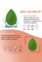Green Colored Makeup Sponge Set of 4 with Stand - 3