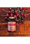 Tart Cherry, 1000 mg, 90 Vegetable Capsules - 6