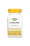 NATURES WAY 500Mg 100 Tb Choline, 100 CT