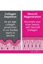 Collagen Super Pwdr - 5