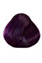 La Riche Directions Hair Colour - Plum 88ml Tub - 3