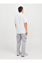 Textured Badge Detail Regular Fit Polo T-Shirt - 3
