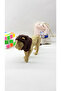 3D Lion Puzzle - Magnet Puzzle (Brown) - 4