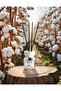 eau de parfum Reed Diffuser, Cotton- 120ml - 2
