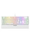 Lumina K1 ARGB Işıklandırma - Makro & RGB Yazılımlı - Red Switch - Ek Bilek Destekli Mekanik Klavye - 3