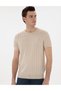 Beige Linen Blended Regular Fit Crew Neck Knitwear T-Shirt 50305992-Vr011 - 3