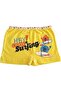 Passion Underwear Girl's Colorful Lycra Cotton Boxer Briefs 6 Pack - 6