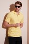 Cotton Regular Fit Half Zipper Polo Collar t Shirt Men's Polo Collar t Shirt 5901029 - 3