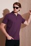 Cotton Regular Fit Half Zipper Polo Collar t Shirt Men's Polo Collar t Shirt 5901029 - 2