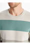 Lcwaikiki Classic Crew Neck Long Sleeve Color Block Men's Knitwear Sweater (S5) - 3