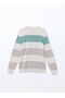Lcwaikiki Classic Crew Neck Long Sleeve Color Block Men's Knitwear Sweater (S5) - 6
