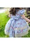 Blue Lace Vintage Baby Girl Dress, Birthday, Photo Shoot Dress, Suitable for 0-13 Years Old - 3