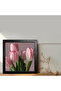 Single Wooden Framed Painting One Piece Poster Painting Ktc/006