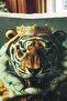 Tiger Pattern Luxury Decorative Animal Figure Fringed Avant-Garde Velvet Throw Pillow Case Artistic Design - 3