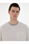 Ecru Comfort Fit Crew Neck T-Shirt 50302539-Vr019 - 2