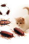 3pcs Funny Simulation of Cockroaches Pet Cat Dog Kitten Interactive Training Play Toy - 7