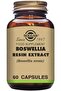 Sfp Boswellia Resin Extract, 60 Vegetable Capsules - 2