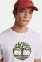 Men's T-Shirt-Tb0A6Dts1001 - 3