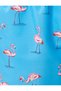 Swim Shorts Flamingo Printed Waist With Pocket Detail - 6