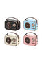 PL-4641 Bluetooth, SD, USB Girişli Bluetooth Destekli Type-C Speaker - 2