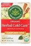 Organic Elderflower Spice Herbal Tea, Warm & Comforting, 16 Tea Bags
