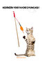 Matatabi Feather Fishing Rod with Rod - 2