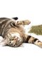 Organic Catnip for Cats & Kittens, Resealable Pouch - 1 Ounce - 5