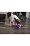 Just For Me Bruto with Chew Guard Technology Plush Dog Toy, Purple, Mini - 6