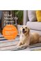 Clinical Care Antiseptic & Antifungal Shampoo for Dogs & Cats, 16 Fl Oz – Soothes Skin - 2