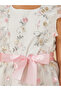 Embroidered Ruffle Detail Mesh Dress with Belt - 4