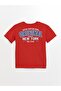 Comfortable Fit Crew Neck Boys T-Shirt and Shorts (S4) - 3