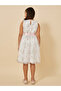 Embroidered Ruffle Detail Mesh Dress with Belt - 5