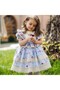 Blue Lace Vintage Baby Girl Dress, Birthday, Photo Shoot Dress, Suitable for 0-13 Years Old - 2