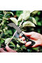 (Set of 4) Curved Tip and Flat Tip Tie Vaccine Knife Pocket Knife Vaccine Paste Vaccine Tape Tree Style Vaccination. - 2
