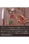 Since 1911, Made In Brazil - Professional 6 Inches Meat Knife With Stainless Steel Blade - 6