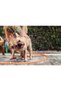 Since 1911, Made In Brazil - 25m 1/2-inch Dia Flex Garden Hose In Orange With 3-layer Pvc Fiber - 3