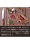 Since 1911, Made In Brazil - 10' Meat Knife Profissional - 6