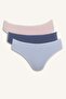 Ribana 3-Piece Brief Panties-Fall in Love D6398Ax25Sp