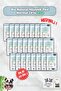 Buy 24, Pay 20 Sleepy Sanitary Pads Normal 24-Pack Bio Natural and Rosie
