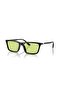 0Ea 4239U 5017/2 55 Unisex Sunglasses