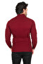 Men's Burgundy Turtleneck Striped Slim Fit Knitted Sweater2100015 - 5