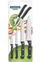 Amazona 16 Pieces Stainless Steel Flatware Set with Steak Knife and High Gloss Finish - 2