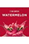 NO-Xplode, Watermelon, 60, Supports Explosive Energy - 17