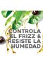 Ogx Shampoo Hydrate & Defriz + Kukui Oil 385Ml Ogx Shampoo And Moisturizer And Yellow Cocozie - 8