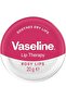 Lip Therapy Lip Balm Rose and Almond Oil 20 G