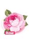 Rose Scented Wet Baby Towel 3x90 Pieces - 2