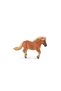 Ponei Shetland - 2